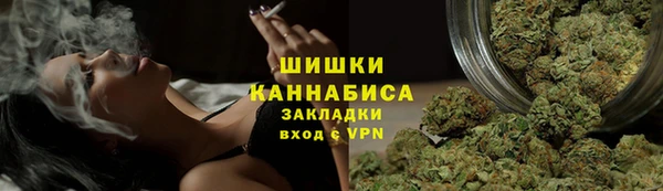 прущие грибы Михайловск