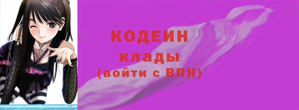 молекула духа Медвежьегорск