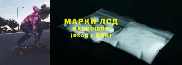 молекула духа Медвежьегорск