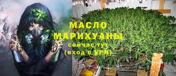 молекула духа Медвежьегорск