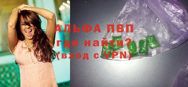 молекула духа Медвежьегорск