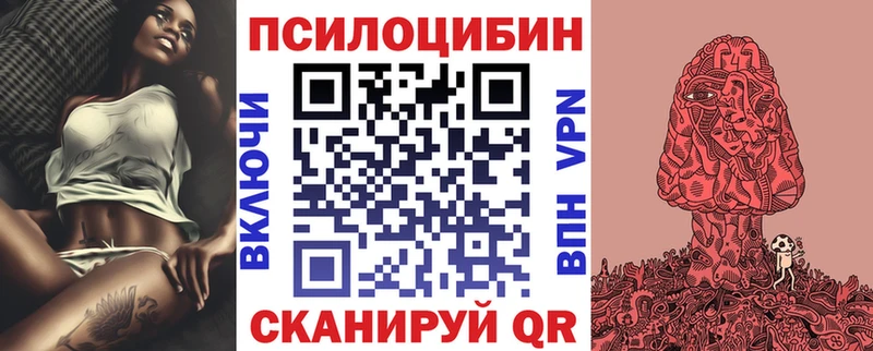 Псилоцибиновые грибы Cubensis  даркнет сайт  Шацк 
